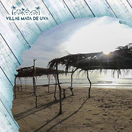 Villas Mata De Uva Alvarado Екстер'єр фото