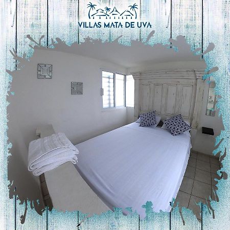Villas Mata De Uva Alvarado Екстер'єр фото