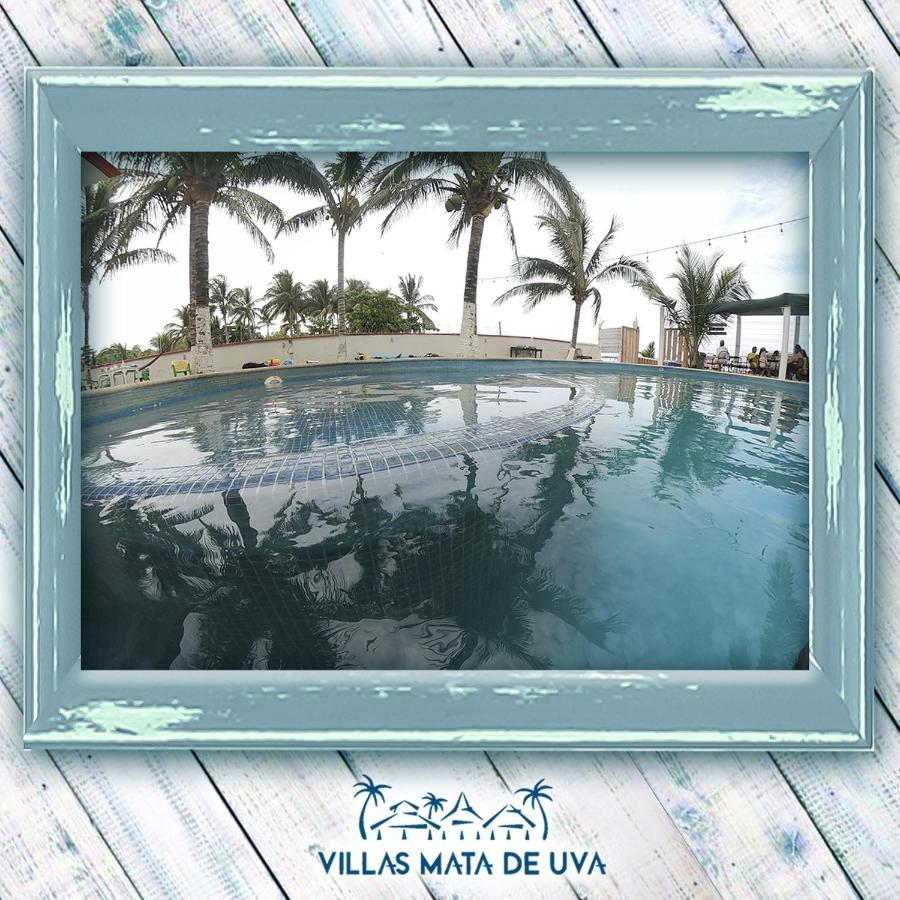 Villas Mata De Uva Alvarado Екстер'єр фото